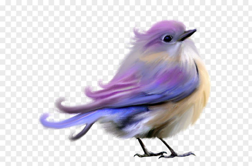 Bird Lovebird Clip Art Psd PNG