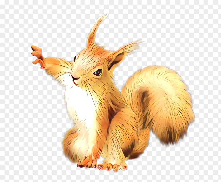 Fawn Wildlife Eurasian Red Squirrel Tail Animal Figure PNG