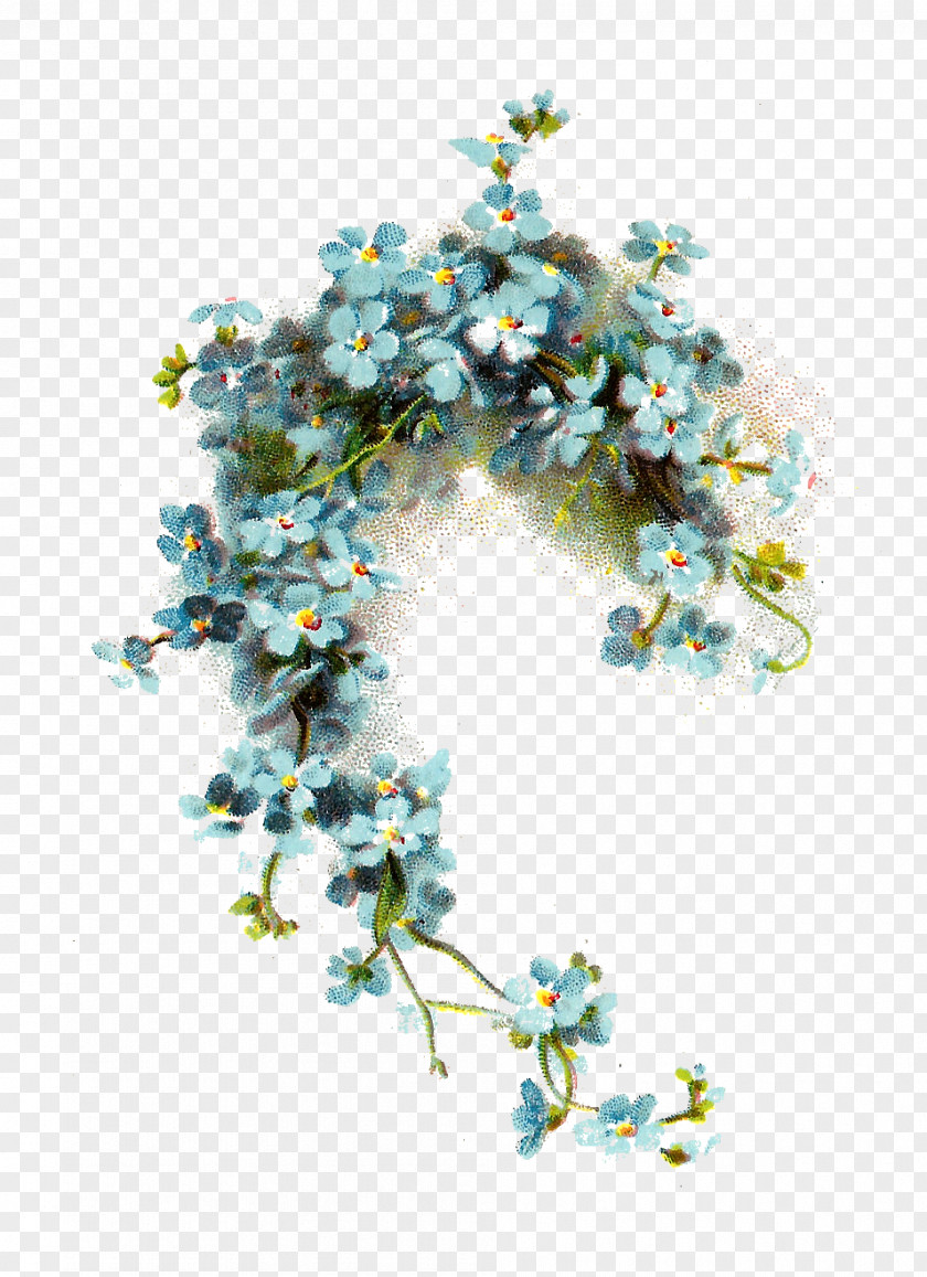 Forget Me Not Image Blue Flower Clip Art PNG