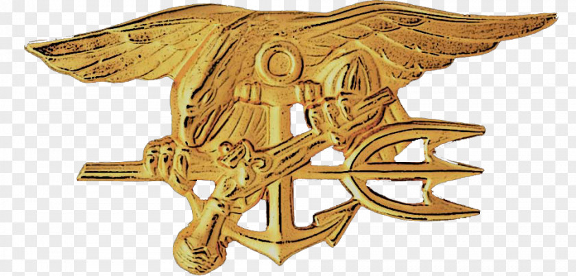 Military United States Naval Academy Navy SEALs Special Warfare Command SEAL Selection And Training PNG