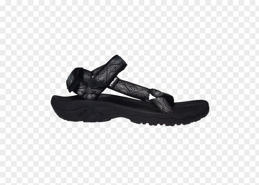 Sandal Teva Footwear Leather ECCO PNG