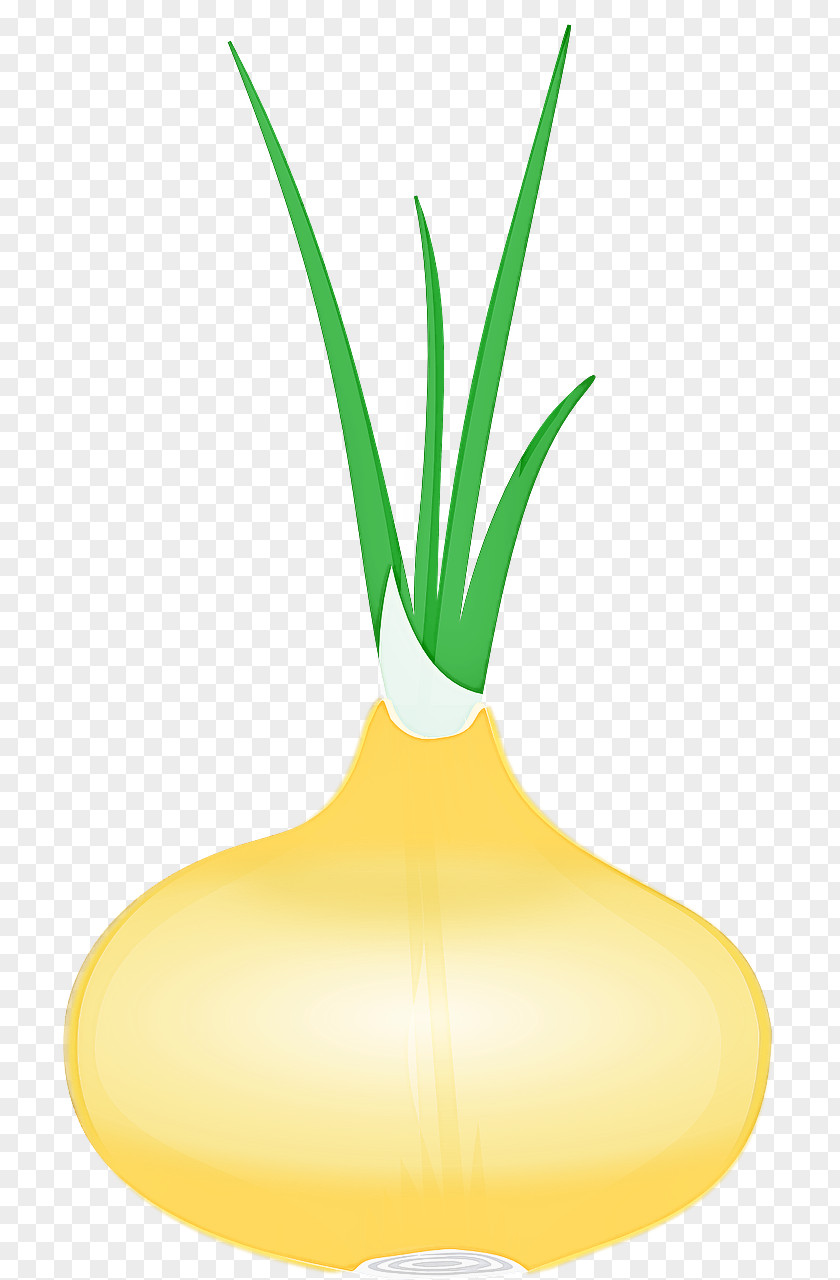 Vegetable Yellow Allium Plant Leaf PNG