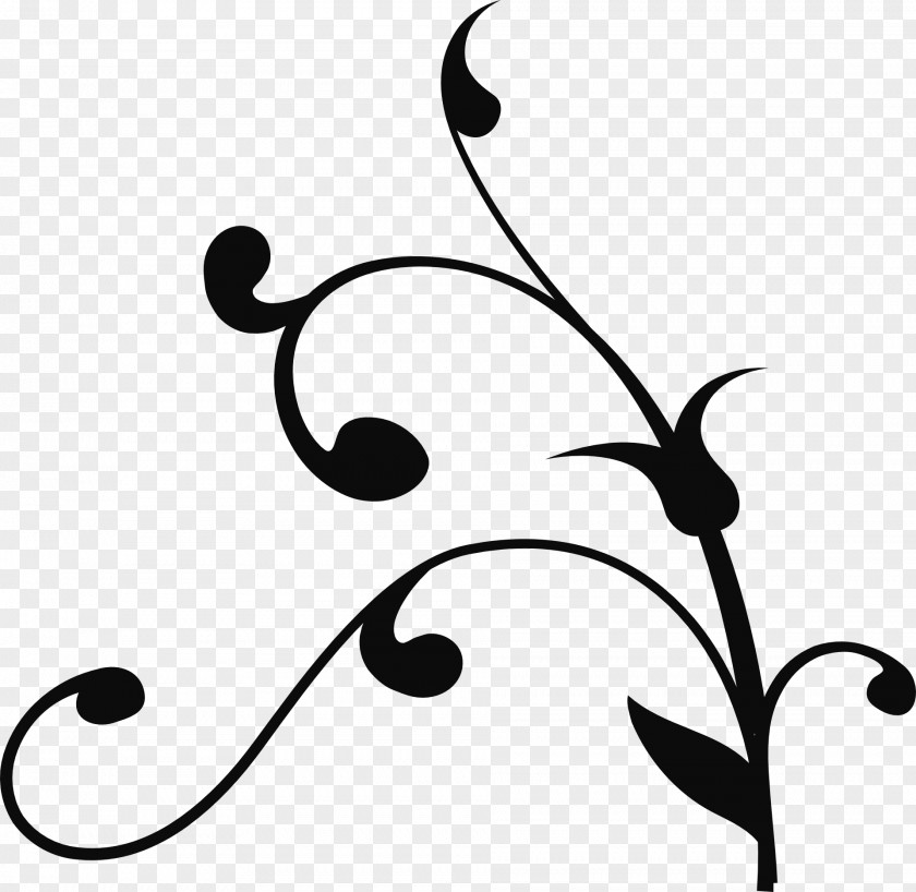 Vine Branch Tree Clip Art PNG