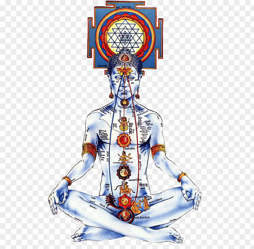 Yoga Kundalini Chakra Sahasrara Nadi PNG