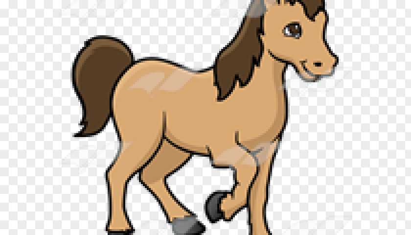 Apaloosa Horse Clip Art Pony Illustration Mane PNG