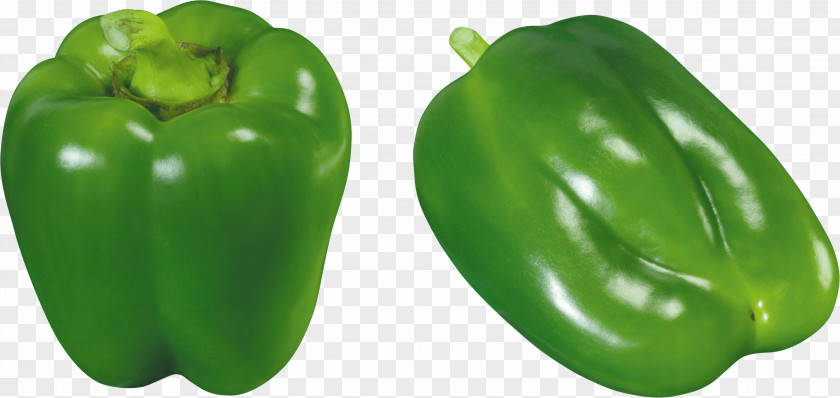Green Pepper Image Bell Chili Vegetable Black PNG