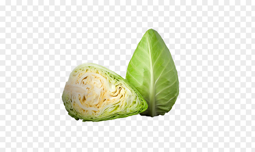 Romanesco Broccoli Romaine Lettuce Capitata Group Pointed White Cabbage Salad Cruciferous Vegetables PNG