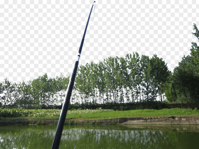 Wild Fishing Rod Angling Recreation PNG
