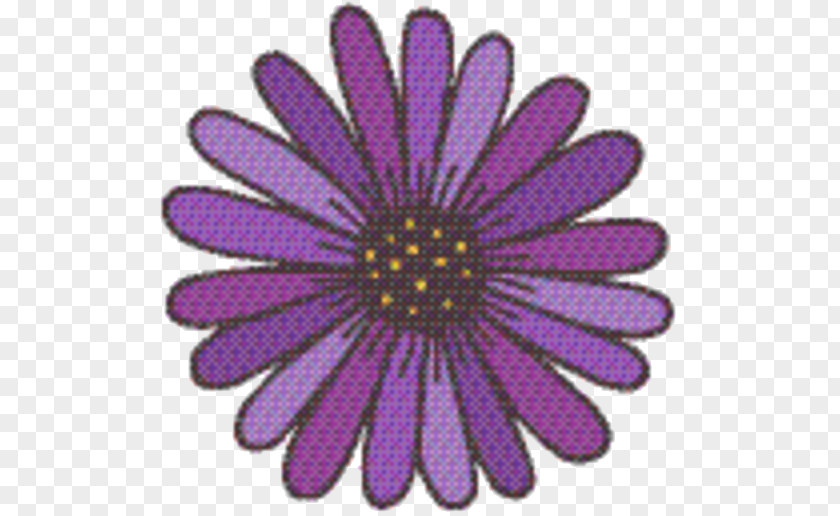 Wildflower Daisy Family Drawing Of PNG