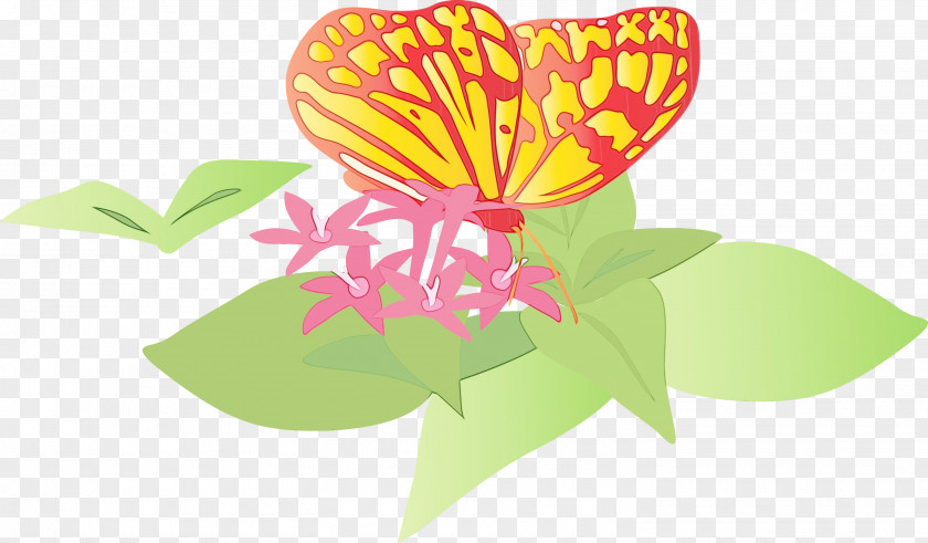 Butterfly Moths And Butterflies Flower Plant Insect PNG