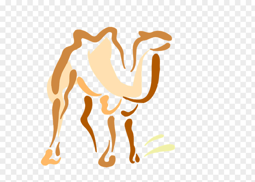 Camel Caravan Dromedary Drawing Photography Clip Art PNG