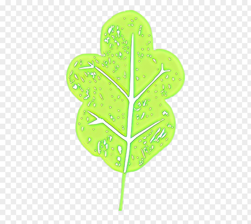 Plant Green Leaf PNG