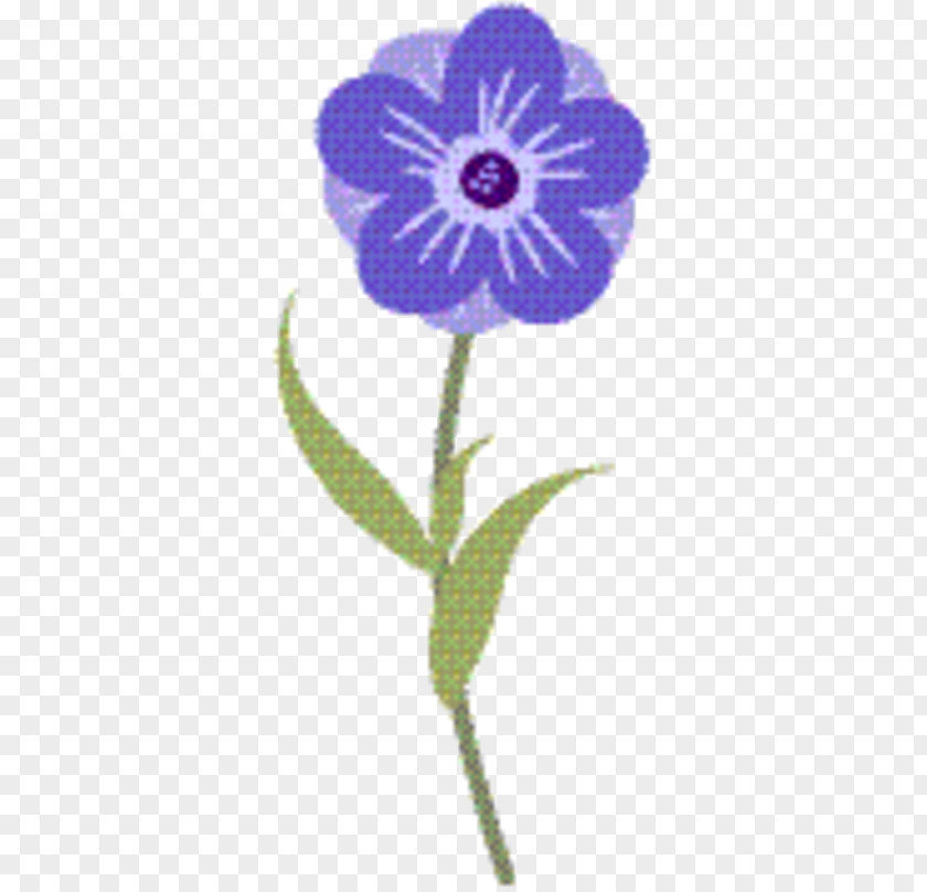 Wildflower Morning Glory Flower Stem PNG