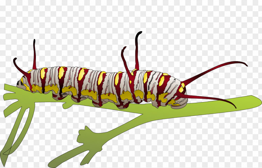 Caterpillar Transparent Images Inc. Clip Art PNG