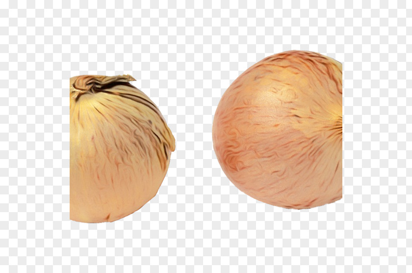 Garlic Food Yellow Onion Shallot Vegetable Plant PNG