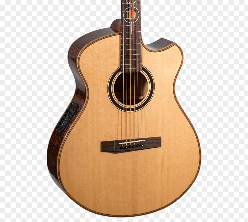 Guitar Classical Steel-string Acoustic Takamine Guitars PNG