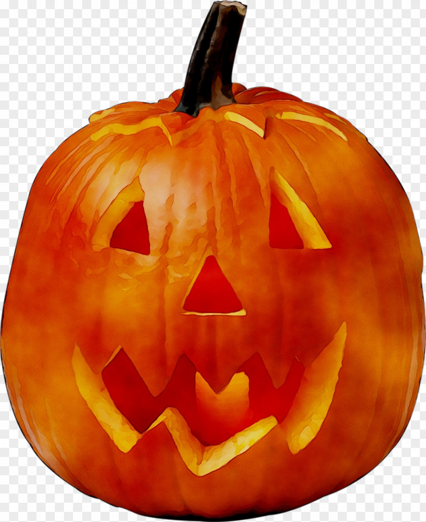 Jack-o'-lantern Image Pumpkin Stock Photography PNG