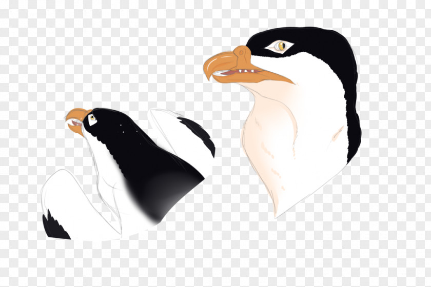 Penguin Cygnini Goose Anatidae Duck PNG