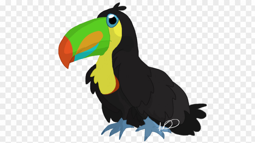 Toucan Draw Birds Parrot Drawing PNG