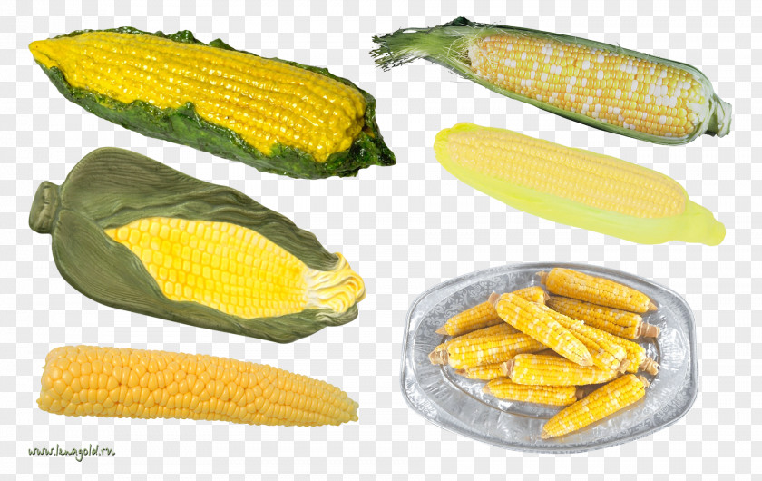 Corn On The Cob Sweet Summer Squash Clip Art PNG