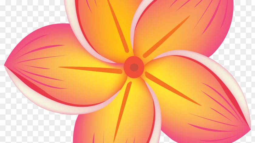 Flower Clip Art Image Floral Design PNG