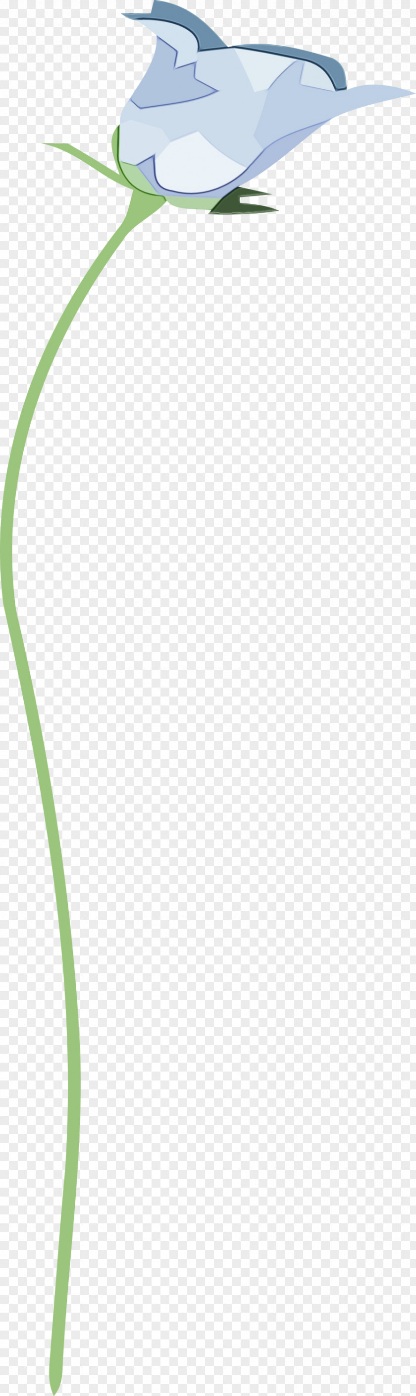 Leaf Plant Stem Line Flower Plants PNG