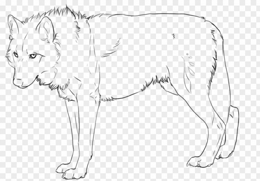 Lion Line Art Drawing Fan PNG