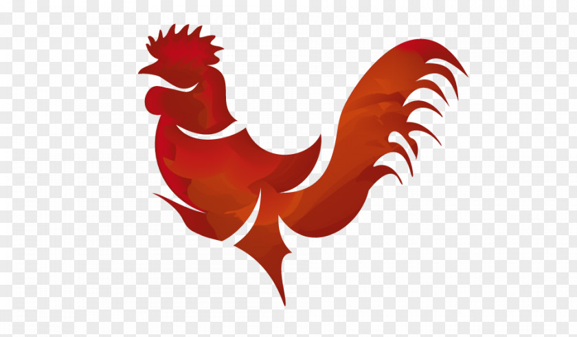 Marca Chicken Bird Vertebrate Phasianidae Rooster PNG