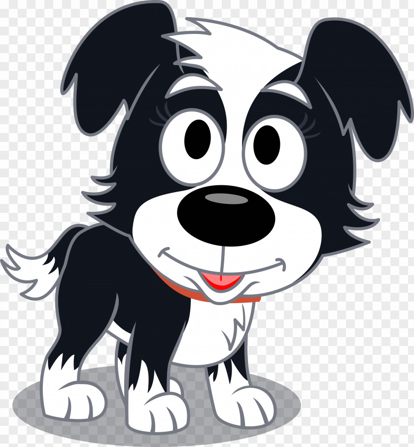 Puppy Border Collie Rough Zipper The Zoomit Dog PNG