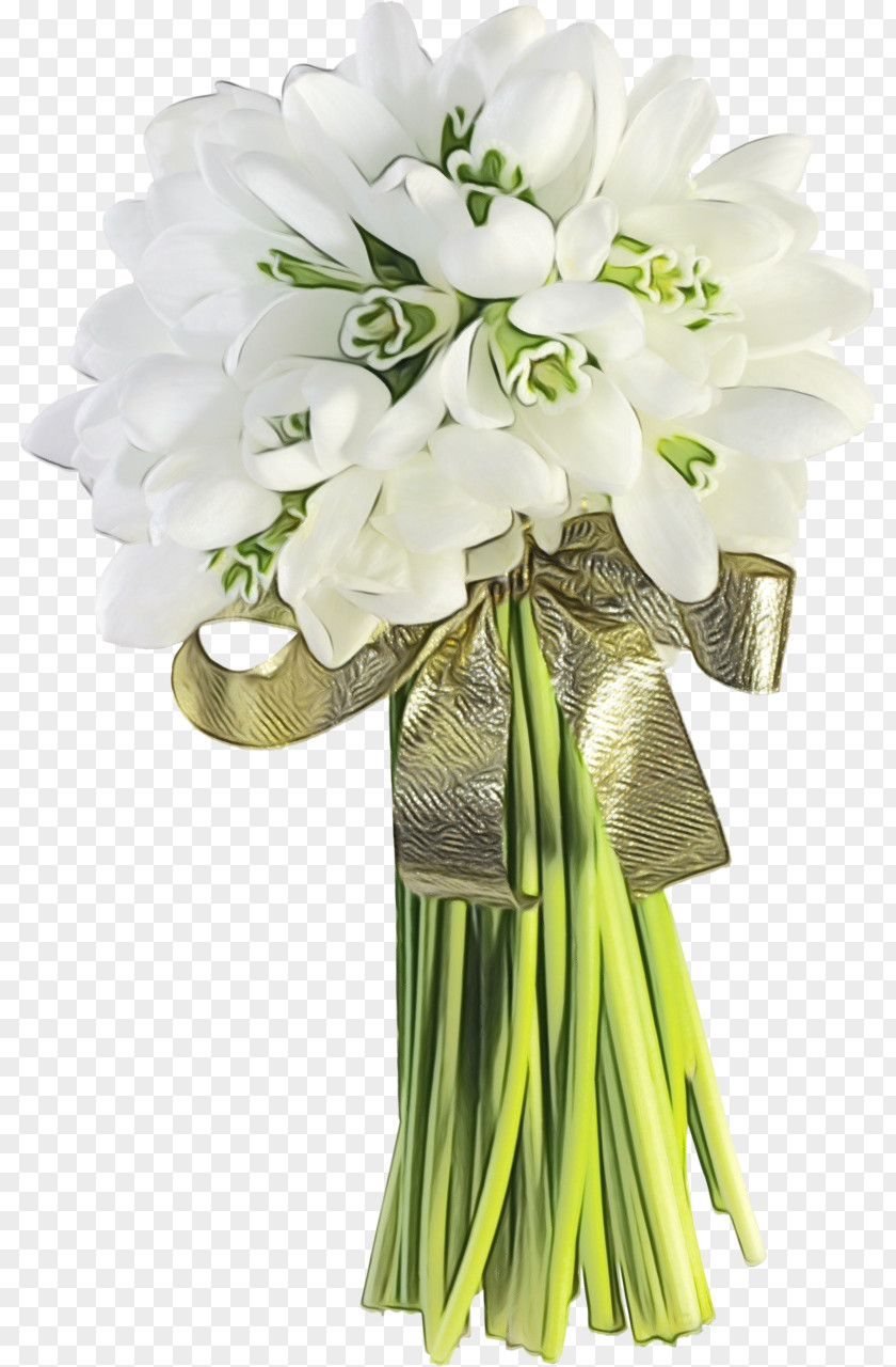 Agapanthus Vase Flower Flowering Plant Bouquet Cut Flowers PNG