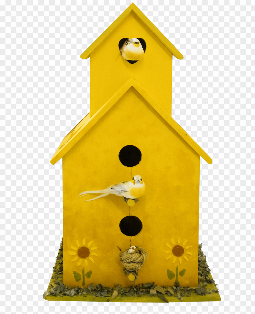 Beautiful Yellow Nest Edible Birds PNG