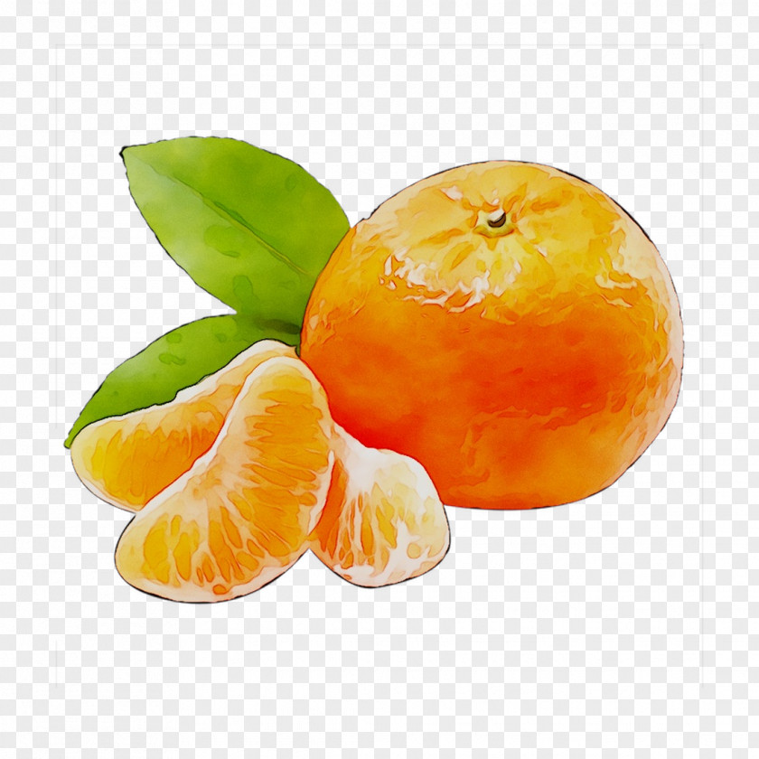 Clementine Mandarin Orange Tangerine Grapefruit PNG