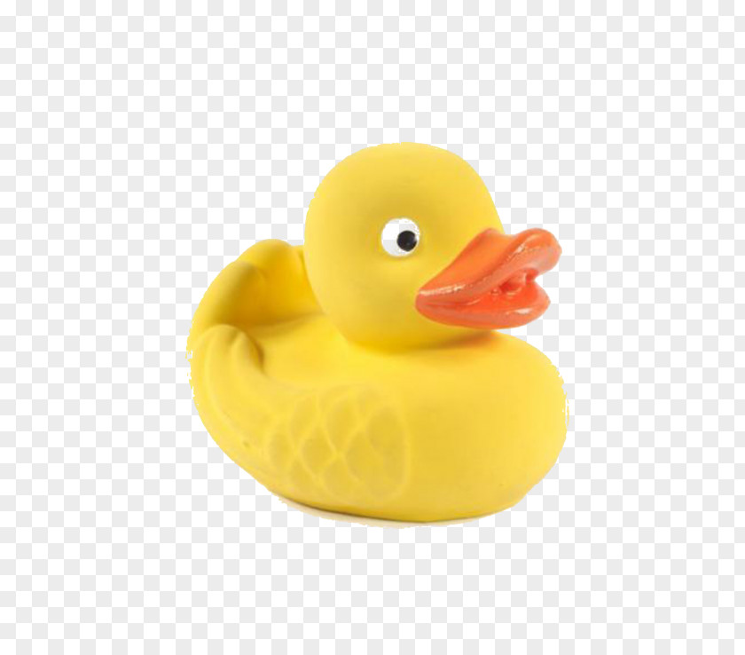 Duck Rubber Material PNG