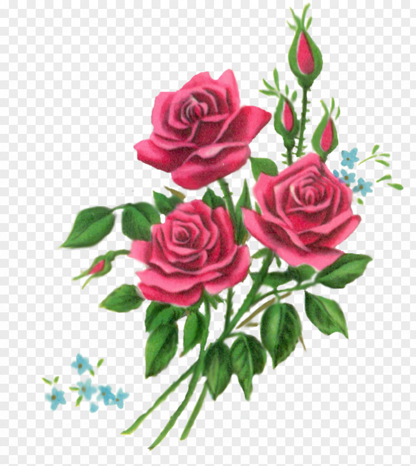 Flower Bouquet Floral Design Rose Clip Art PNG
