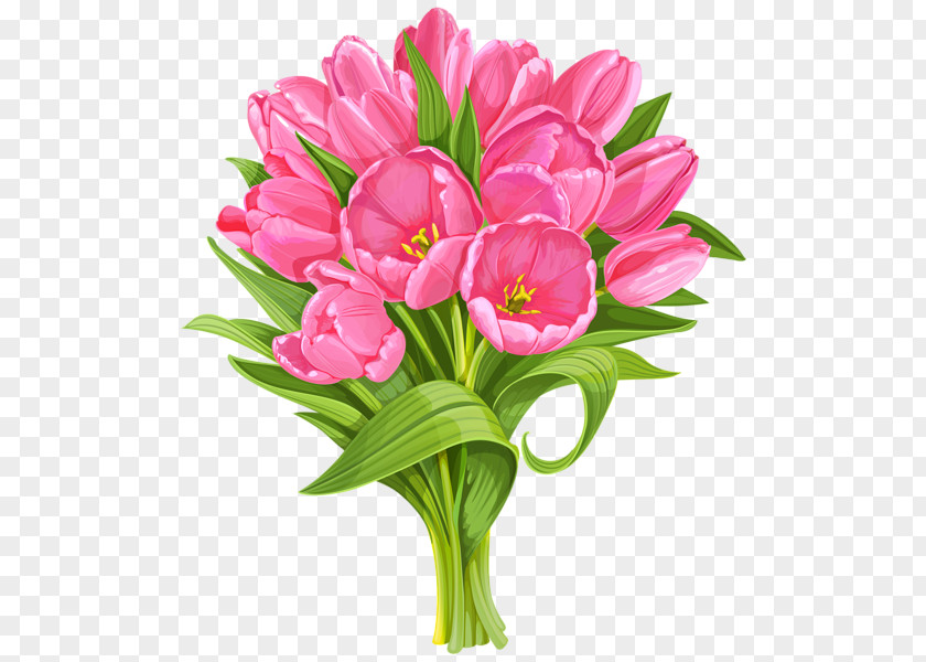 Tulip Flower Bouquet Pink Flowers Clip Art PNG