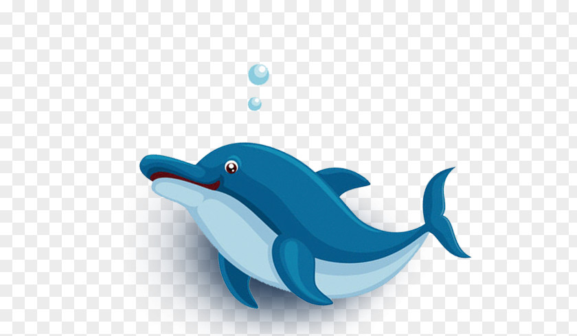 Beach Common Bottlenose Dolphin Illustration PNG