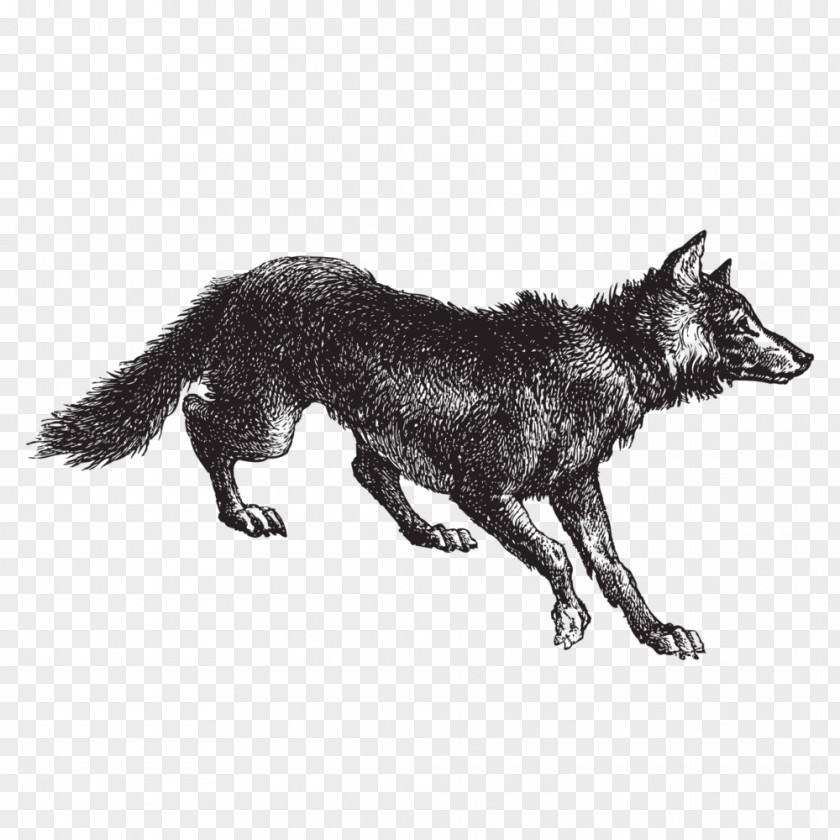 Beer Wolf's Ridge Brewing Eurasian Wolf Drawing Brewery PNG