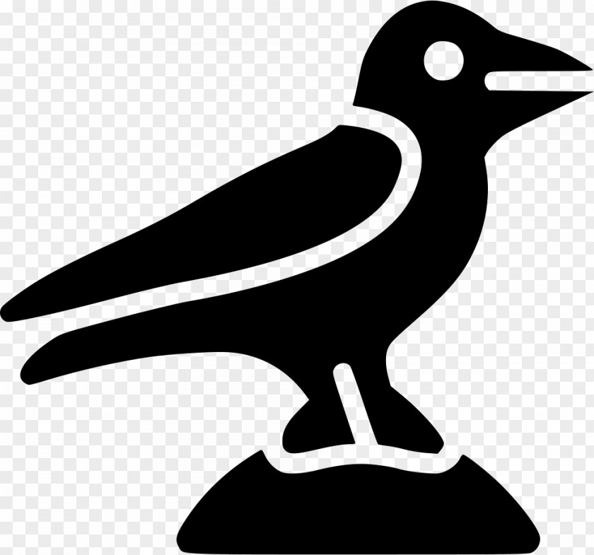 Bird Common Raven Clip Art PNG