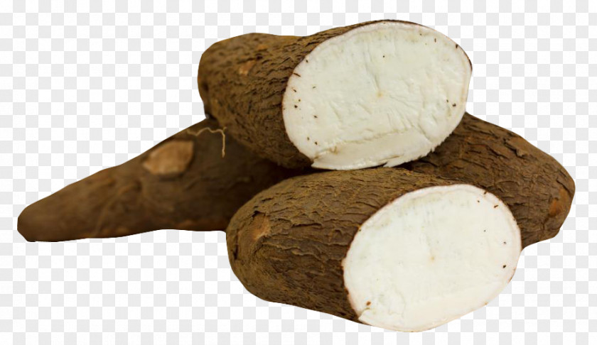 Cassava Food Tapioca Vegetable Tuber PNG
