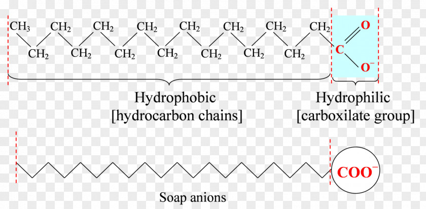 Ocean Surface Carboxylic Acid Fatty Palmitic Carboxyl Group PNG