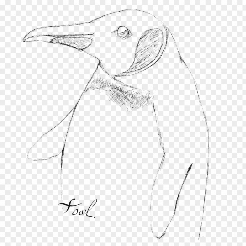 Penguin Ducks, Geese And Swans Bird Goose Sketch PNG