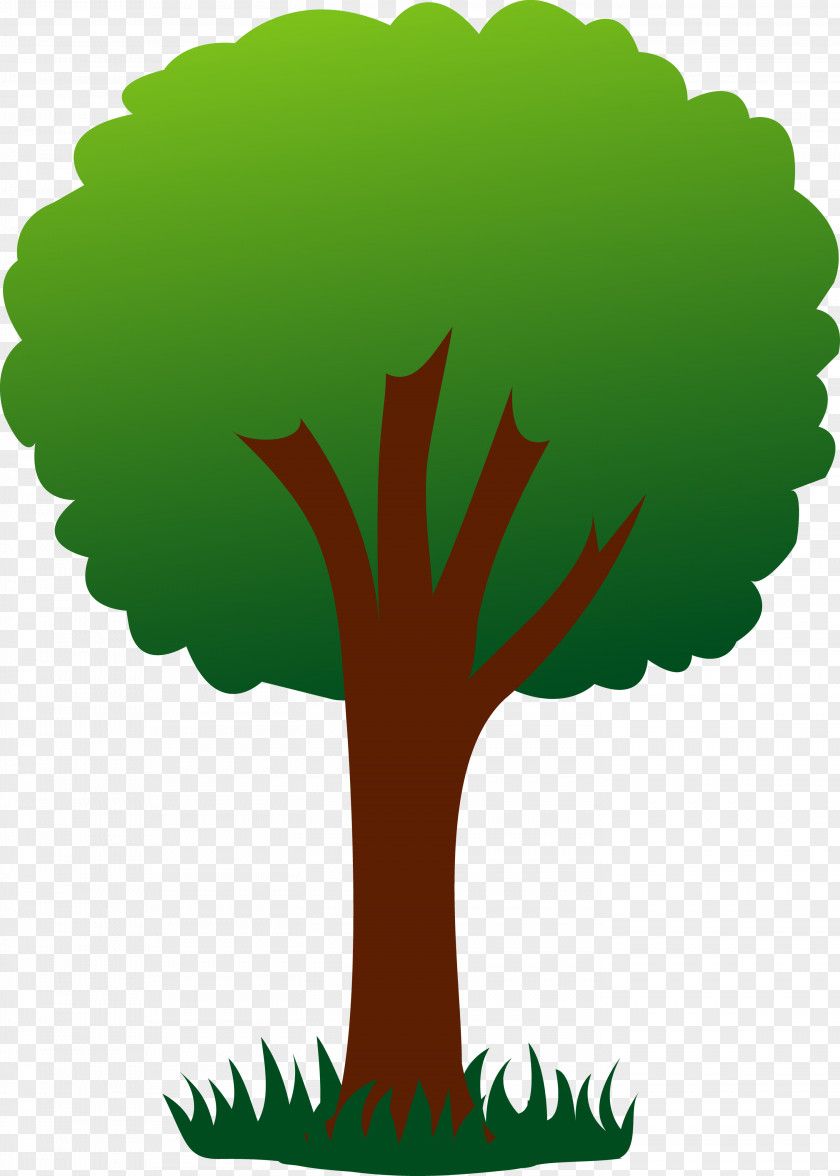 Tree Farm Clip Art PNG