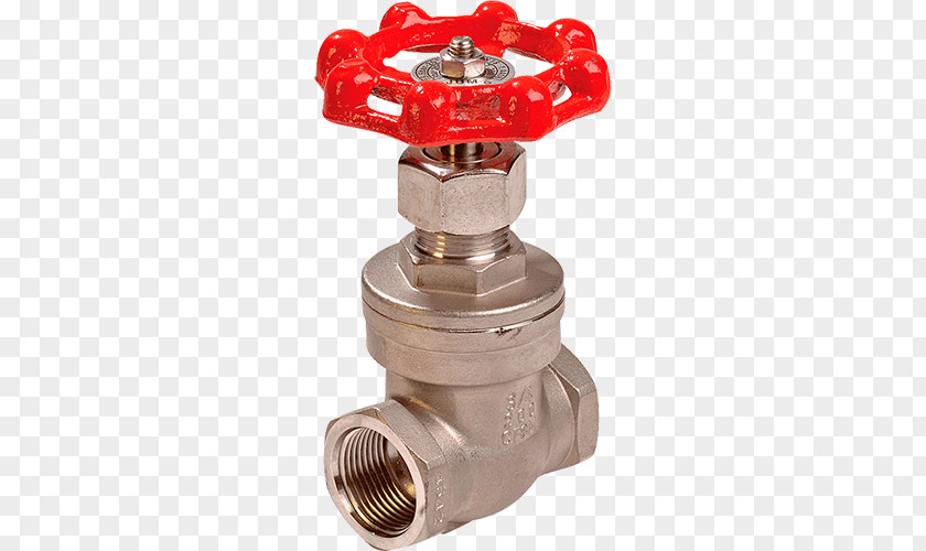 Brass Gate Valve Check Ball Steel PNG