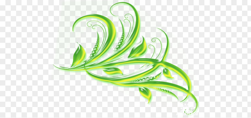 Green Raster Graphics Picture Frames Clip Art PNG