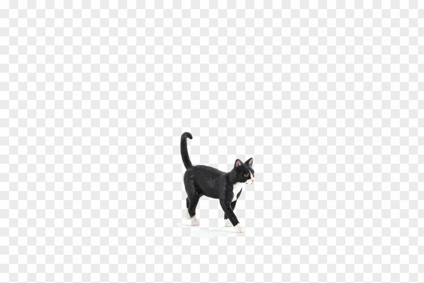 Kitten Black Cat Dog Leash PNG