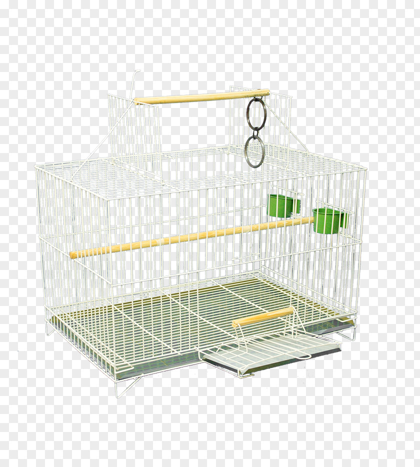 Popy Cockatiel Birdcage Pet PNG