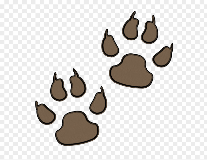 Bear Paw Prints Dog PNG