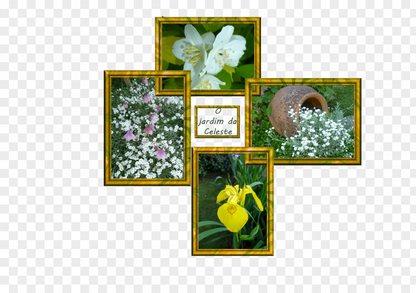 Design Floral Herbalism Picture Frames PNG