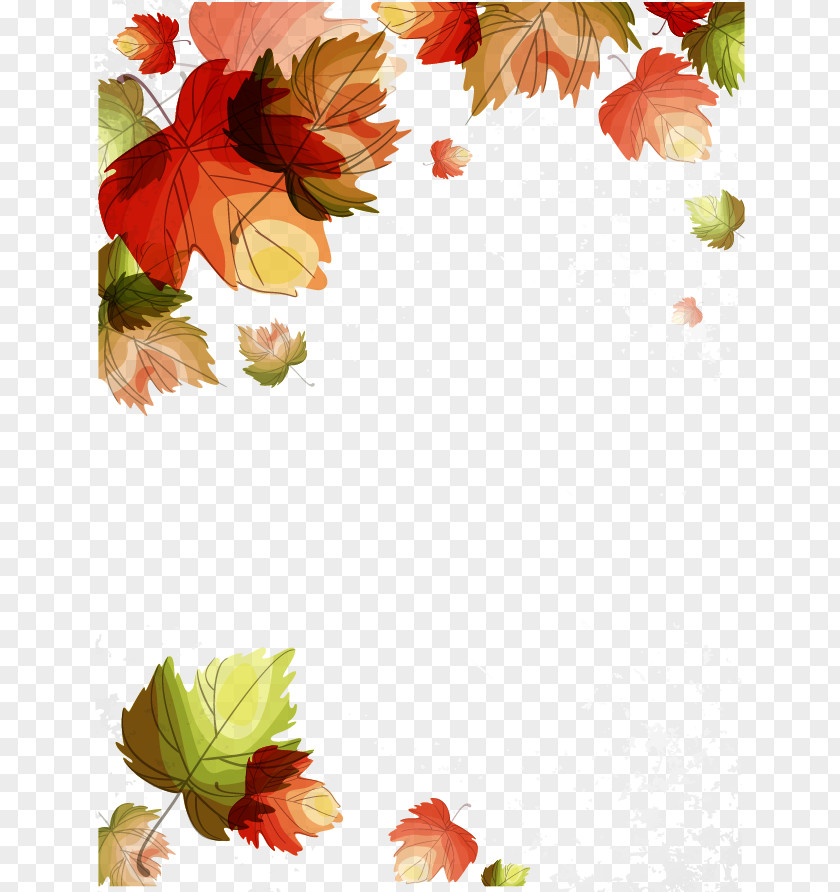 Vector Autumn Maple Leaf PNG