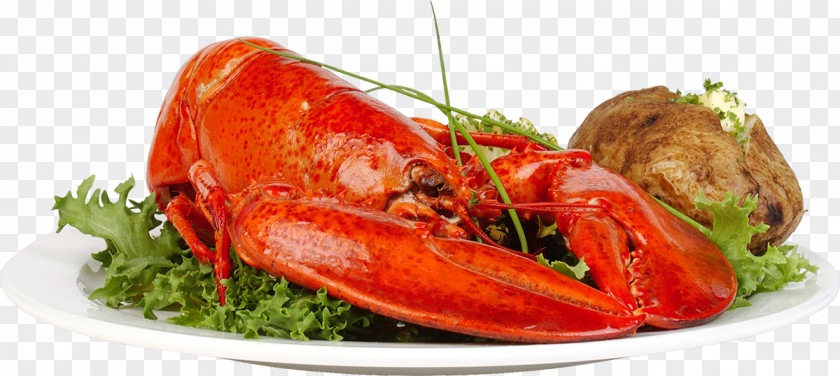 Fruits And Vegetables Dishes Lobster Thermidor Dish Vegetable PNG
